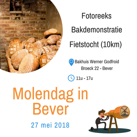 Molendaqg_2018_1