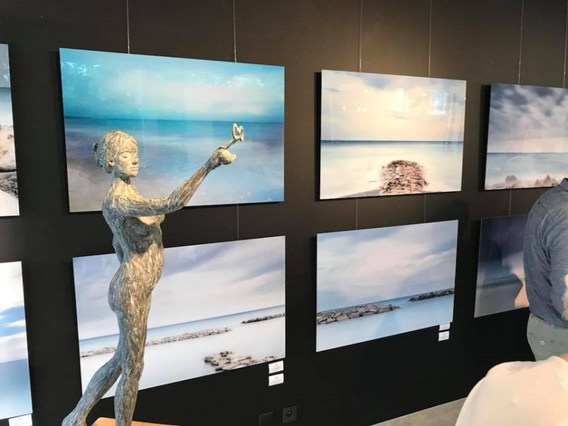 Galerij_hores_tierry_van_vreckem_probus__3_