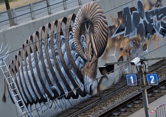 Dsc_0912__large_