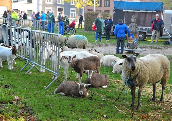 Dsc_6776_01__large_