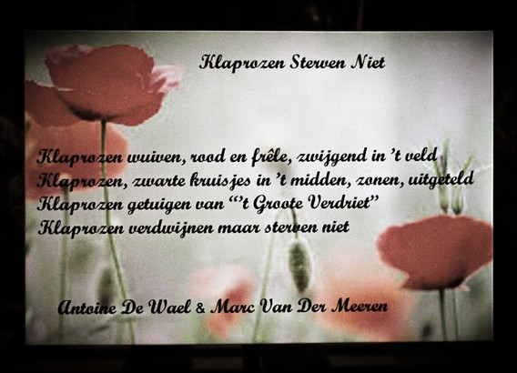 2018-11-10_herdenkingsevocatie-__klaprozen_sterven_niet___10_a