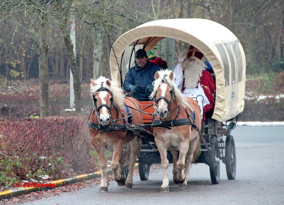 2018-12-02_de_sint_aangekomen_met_koets__18_ab