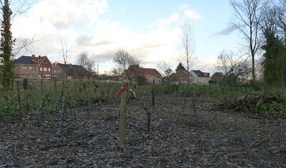 Dag_van_de_natuur_2018