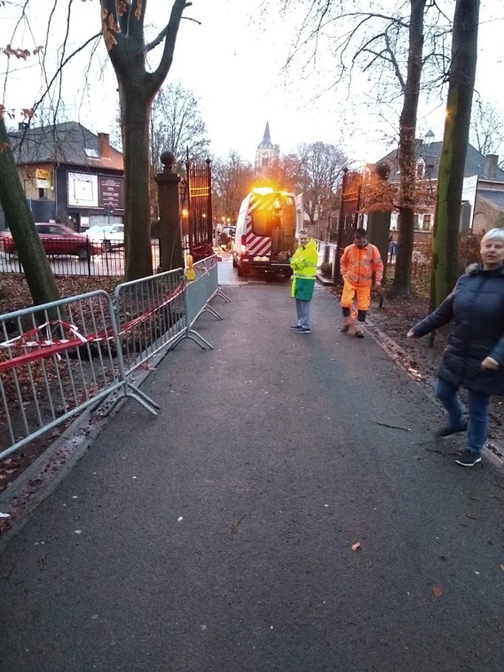 Beuken_dreef_omgehakt_2_img-20181224-wa0001