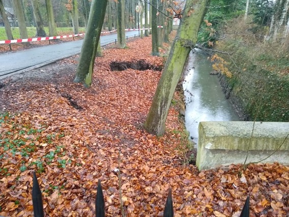 Beuken_dreef_omgehakt_4img-20181224-wa0009