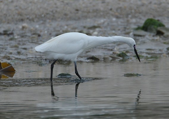 Dsc_4584__large_