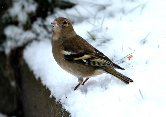 Dsc_3475_01__large_