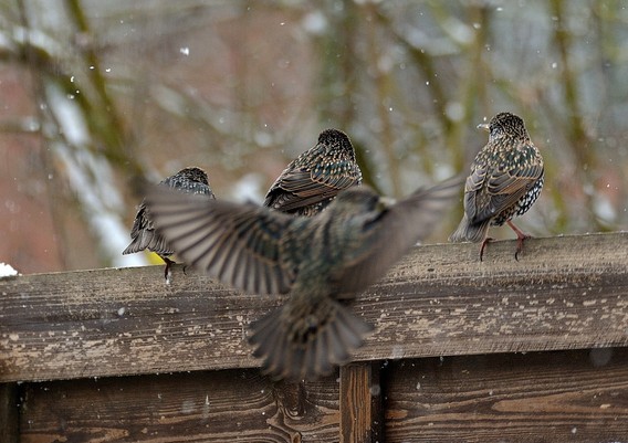 Dsc_3428_01__large_