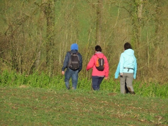 Image3