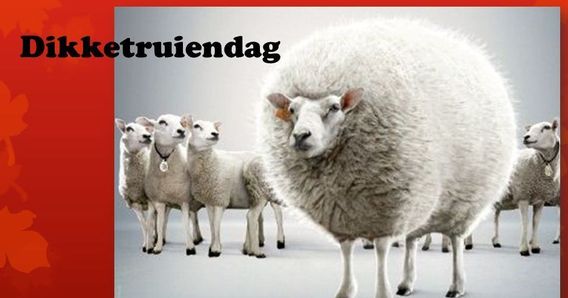 2019-02-12_dikketruiendag__3_a