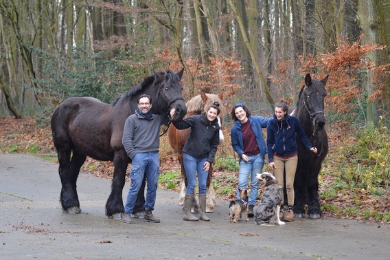 Paardenhouders_1