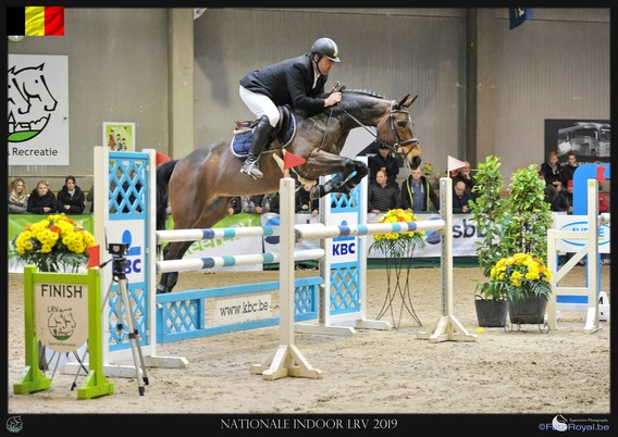 Kampioenschap_lrv_paarden__1a__in_gezonden