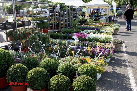 2018-05-15_bloemen___biomarkt__4_a
