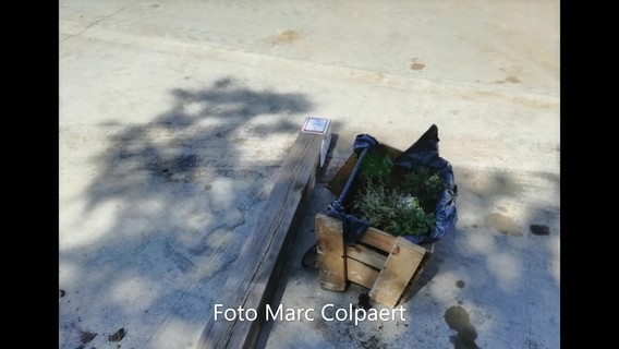 A_colpaert_schade_3_groot_moment