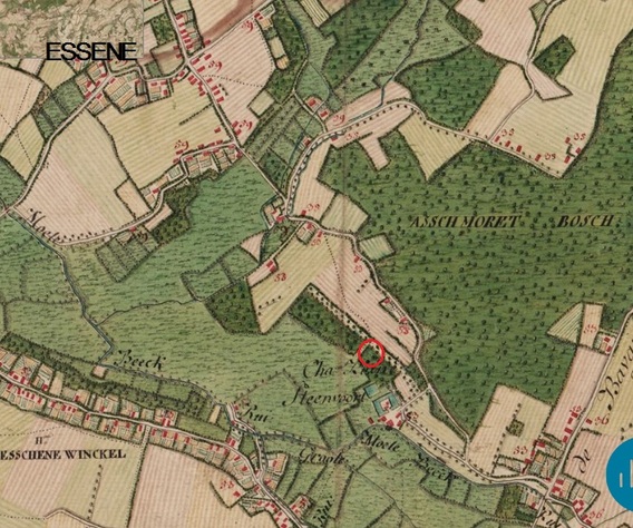 Steenvoordenaaresseneferraris