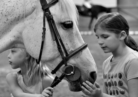 Sh2_0908_02__large_