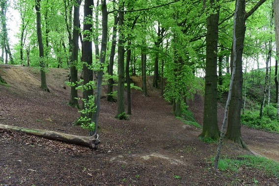 Dsc_5508__kopie_
