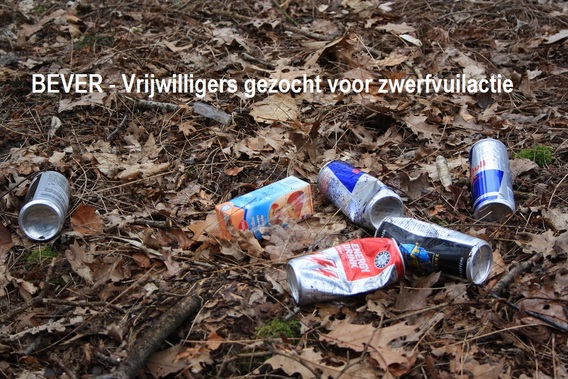 Zwerfvuil_bever_2019