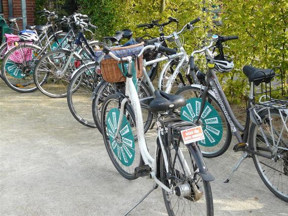 Fietstocht_groen