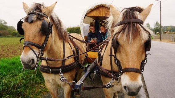 Willem_en_sophie_doortocht_pland__4_