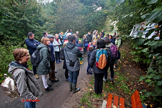 2019-10-20_gezinswandeling__knot_palitsekoning___24_ab
