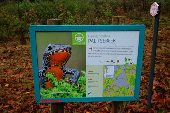 2019-10-20_gezinswandeling__knot_palitsekoning___69_ab