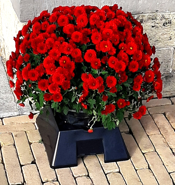 Pepingen_kerkhof_01