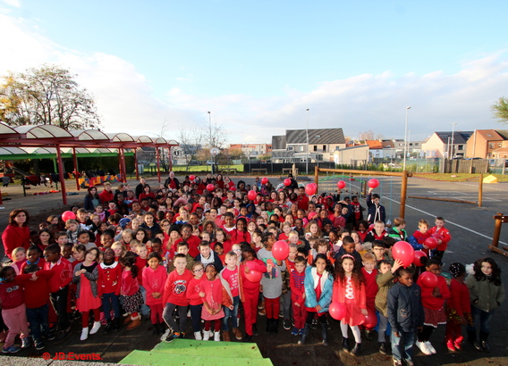 2019-11-29______de_bij_kleurde_rood_vandaag__1_ab