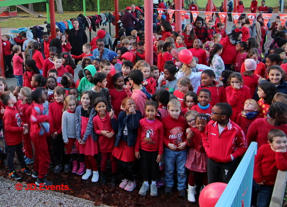 2019-11-29______de_bij_kleurde_rood_vandaag__2_ab