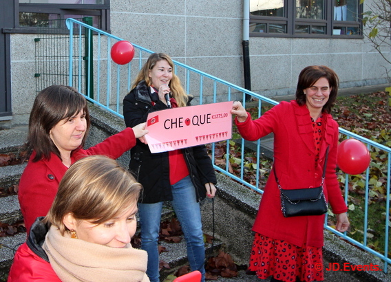 2019-11-29______de_bij_kleurde_rood_vandaag__21_ab
