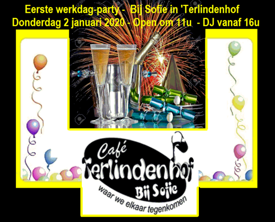 Eerste_werkdagparty_sofie