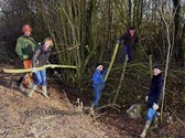 Editie_colpaert_gooik_snoeien_1__kopie__nieuwsbrief