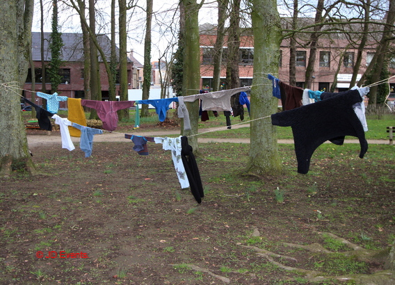 2020-11-02__dikketruiendag___helpt_het_klimaat__7_ab