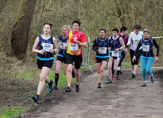 2020-02-29_stratenloop_-_pallieters_2_a