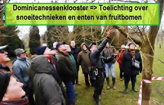 Sndoeien_en_enten_1