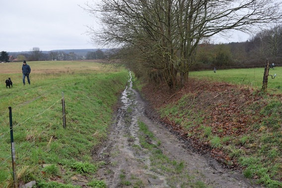 Trage_wegen_beersel
