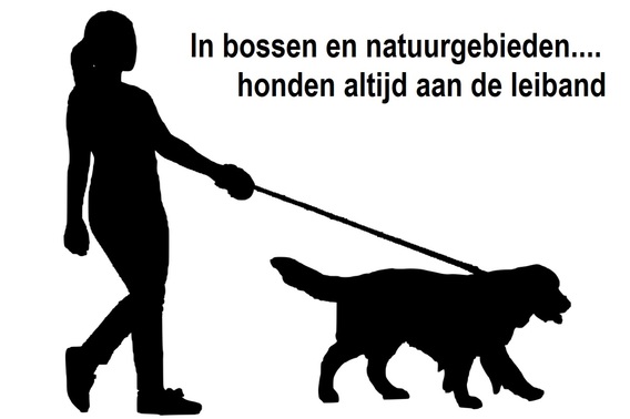 Honden_leiband