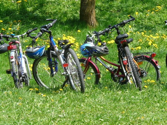 Fietsbib2