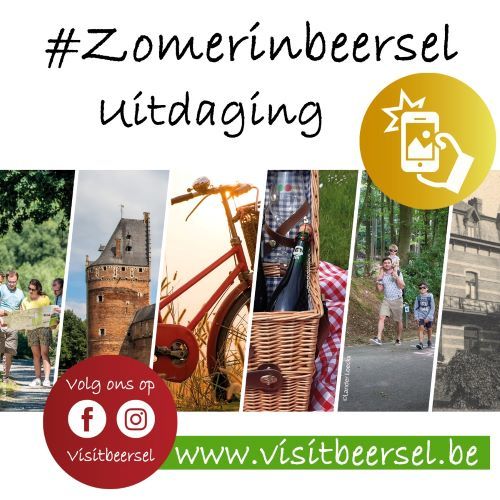 Editiepajot_bart_devill___zomer_in_beersel
