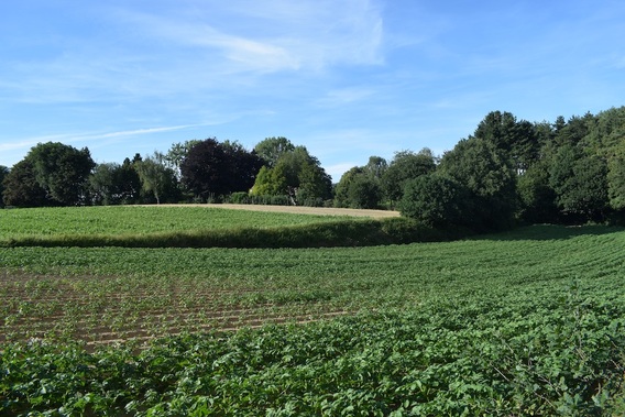 Beersel_wandelgemeente