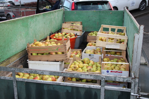 2019-09-19_mobiele_fruitpersactie__6_a