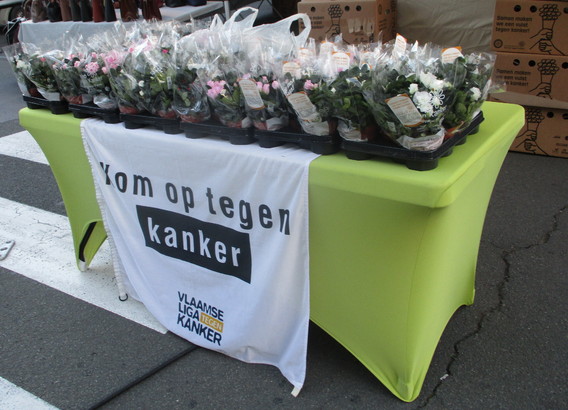 2019-09-15_kotk_markt___3_ab