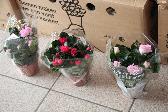 2018-09-15_kotk_markt___5_
