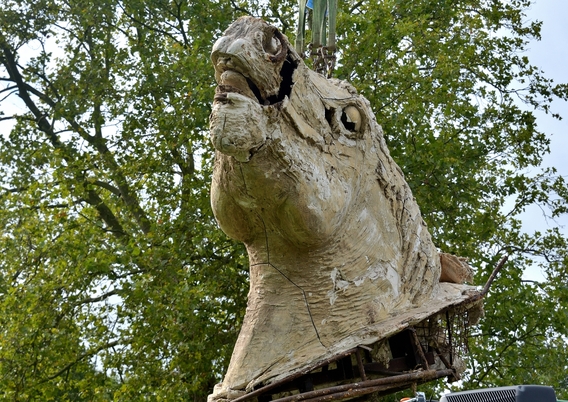 Sh2_5807__groot_