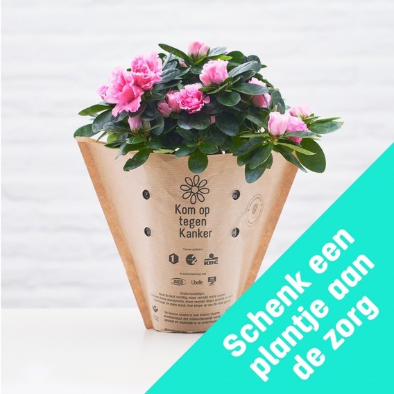 Koop-een-plantje__3_