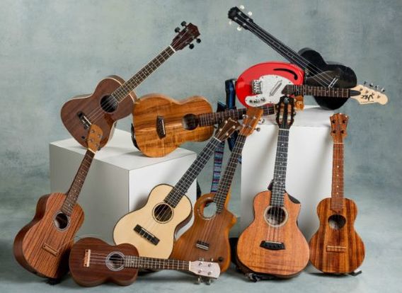 Editiepajot_bart_devill___ukelele_voor_beginners