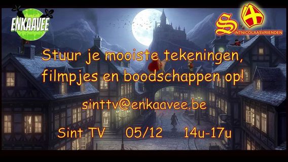 Ninove_sinterklaasshow_op_05_-12