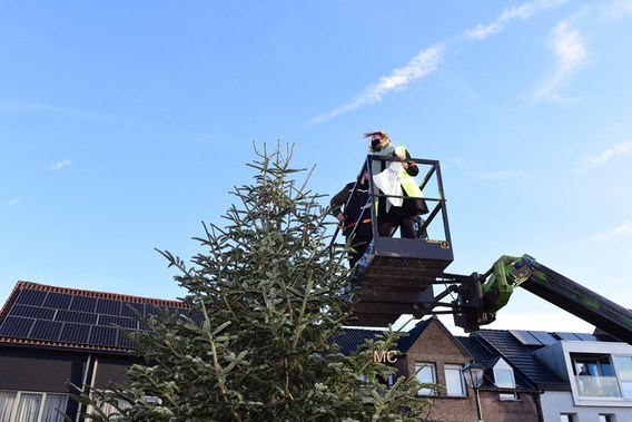 Editie_galmaarden_kerstboom_2__kopie_