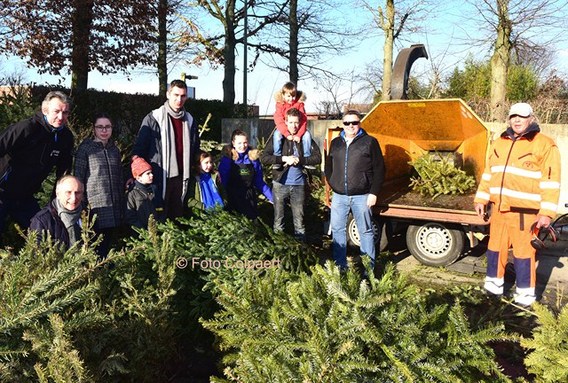 Editiecolpaert_gooik_kerstbomen_1__kopie_