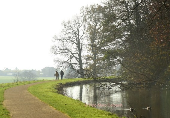 Editie_colpaert_natuur_3__kopie_